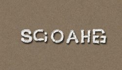 Comment optimiser ses articles de blog pour le SEO